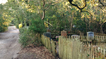 Graves surrounded by a wooden fence